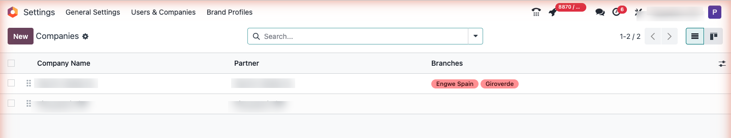 Companies list in one Odoo: two legal entities with brands as branches